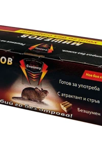 Снимка на Мишелов тунел